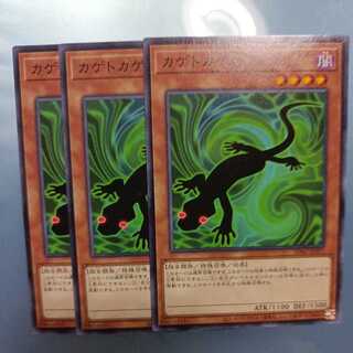 カゲトカゲ ノーマル　☆