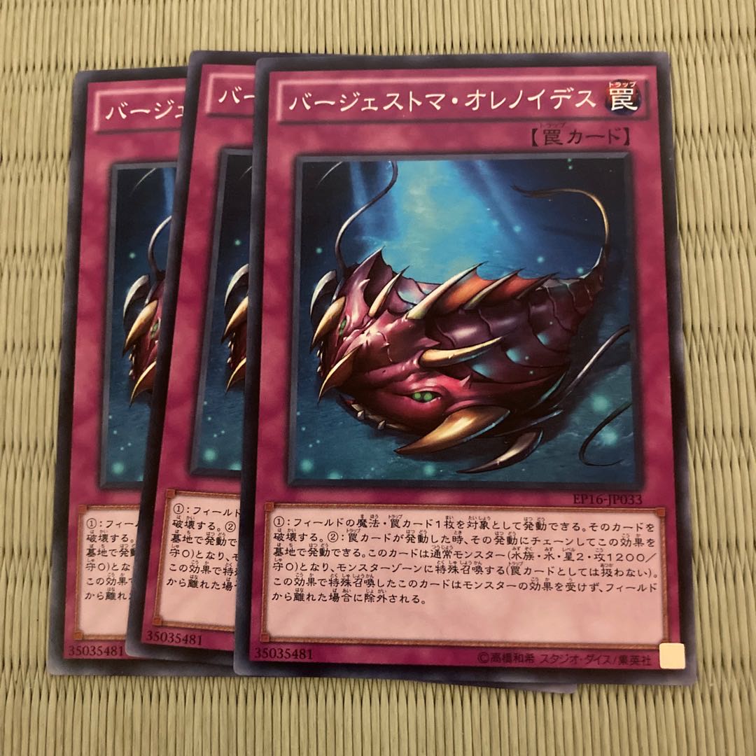 バージェストマ・オレノイデス　ノーマル