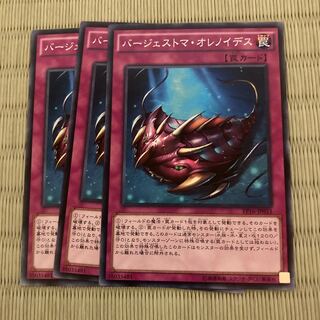 バージェストマ・オレノイデス　ノーマル