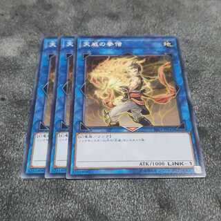 Monk of the Tenyi Normal Yu-Gi-Oh Tiger Blowfish