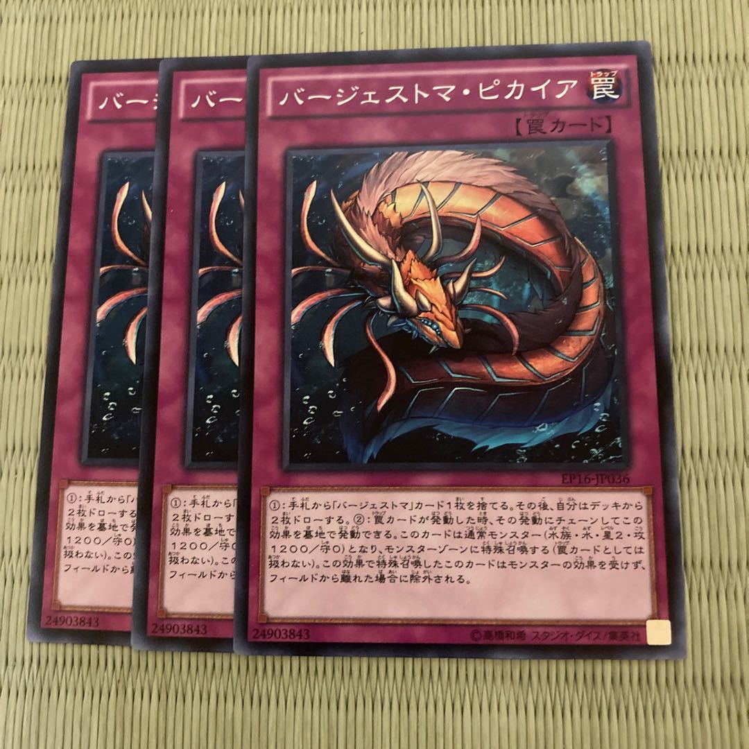 バージェストマ・ピカイア　ノーマル