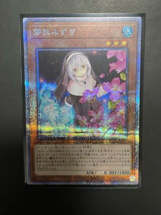 Yu-Gi-Oh! Ghost Sister & Spooky Dogwood Different Illustration Prisma