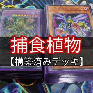 Mountain Store Prey Upon Plant Deck Predapractice Predaplant Triphyoverutum