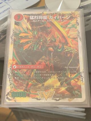 Gaiairu Sword｜Gaibahn, the Furious Shoguryu