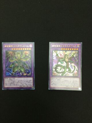 Predaplant Triphyoverutum Ultra Rare Set of 2 [06745-37].