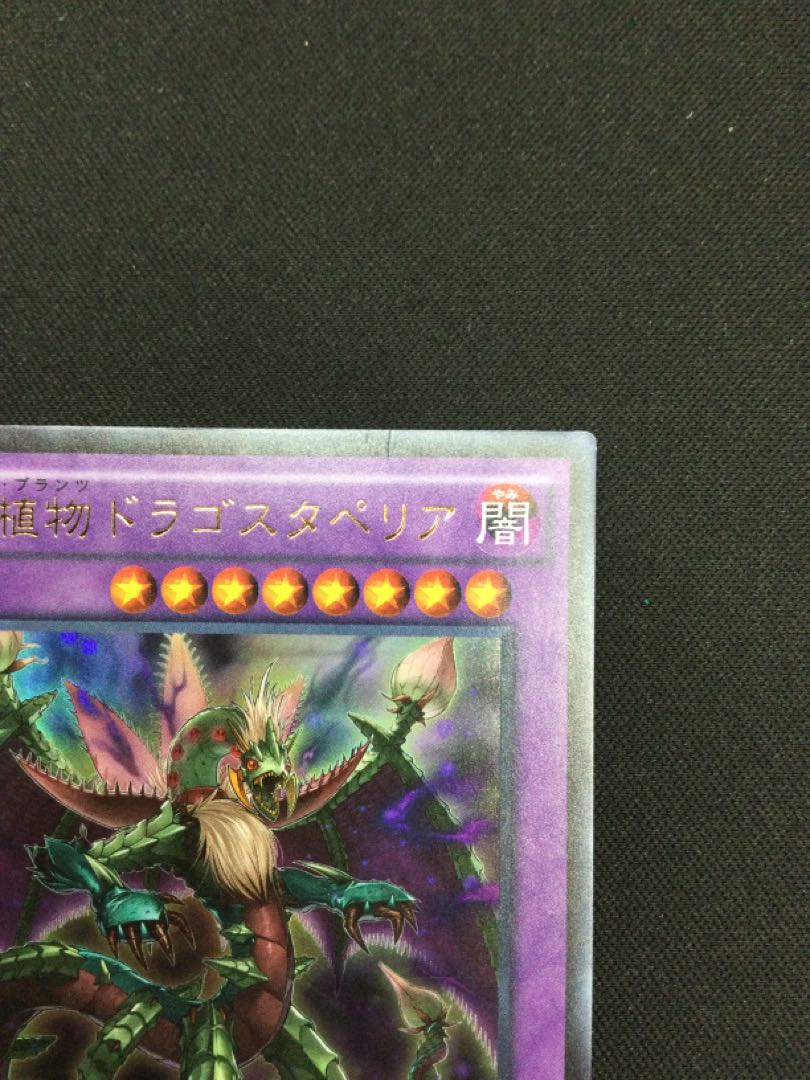 Predaplant Triphyoverutum Ultra Rare Set of 2 [06745-37].