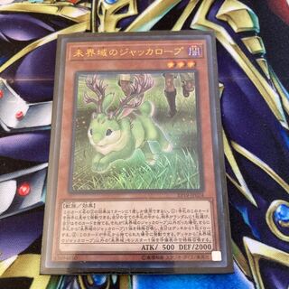 未界域のジャッカロープ