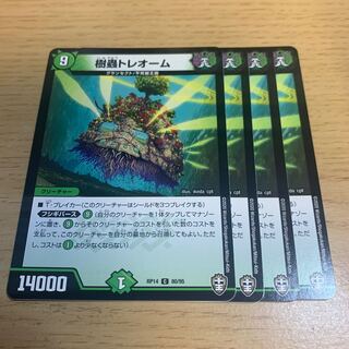 NO.1511 Jyumushi Treome C 80/95