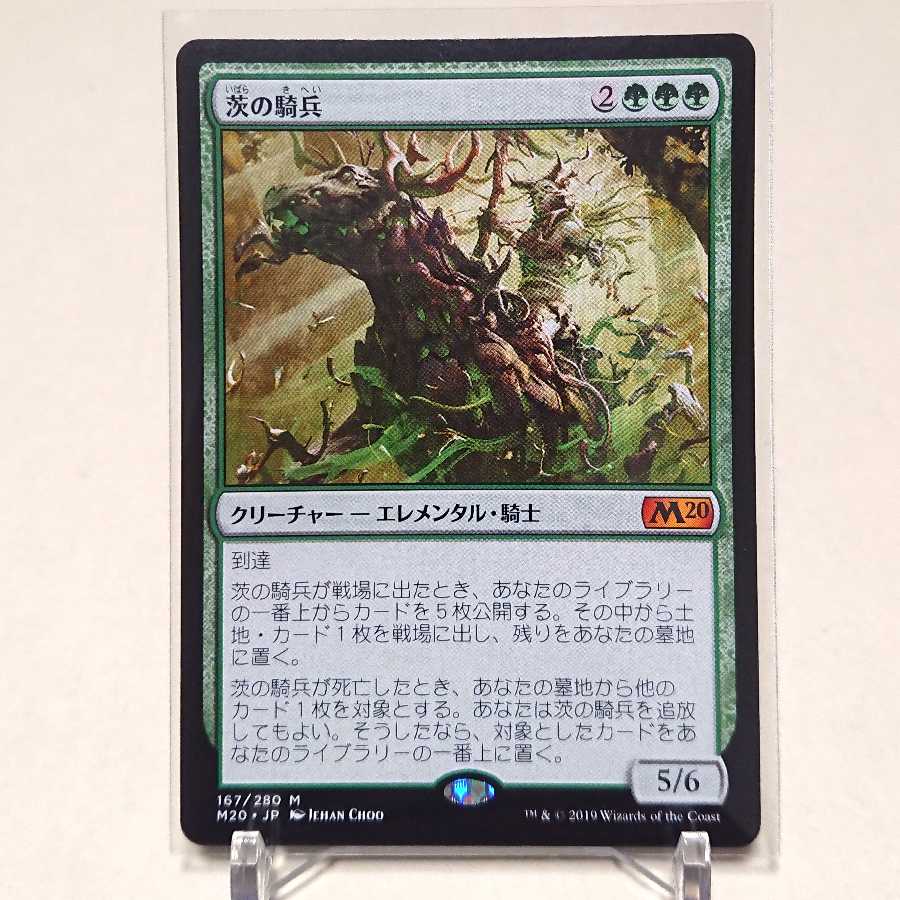 【未使用】《茨の騎兵/Cavalier of Thorns》[M20]