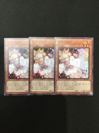 Ash Blossom & Joyous Spring Super Rare 3-card set [06765-37].