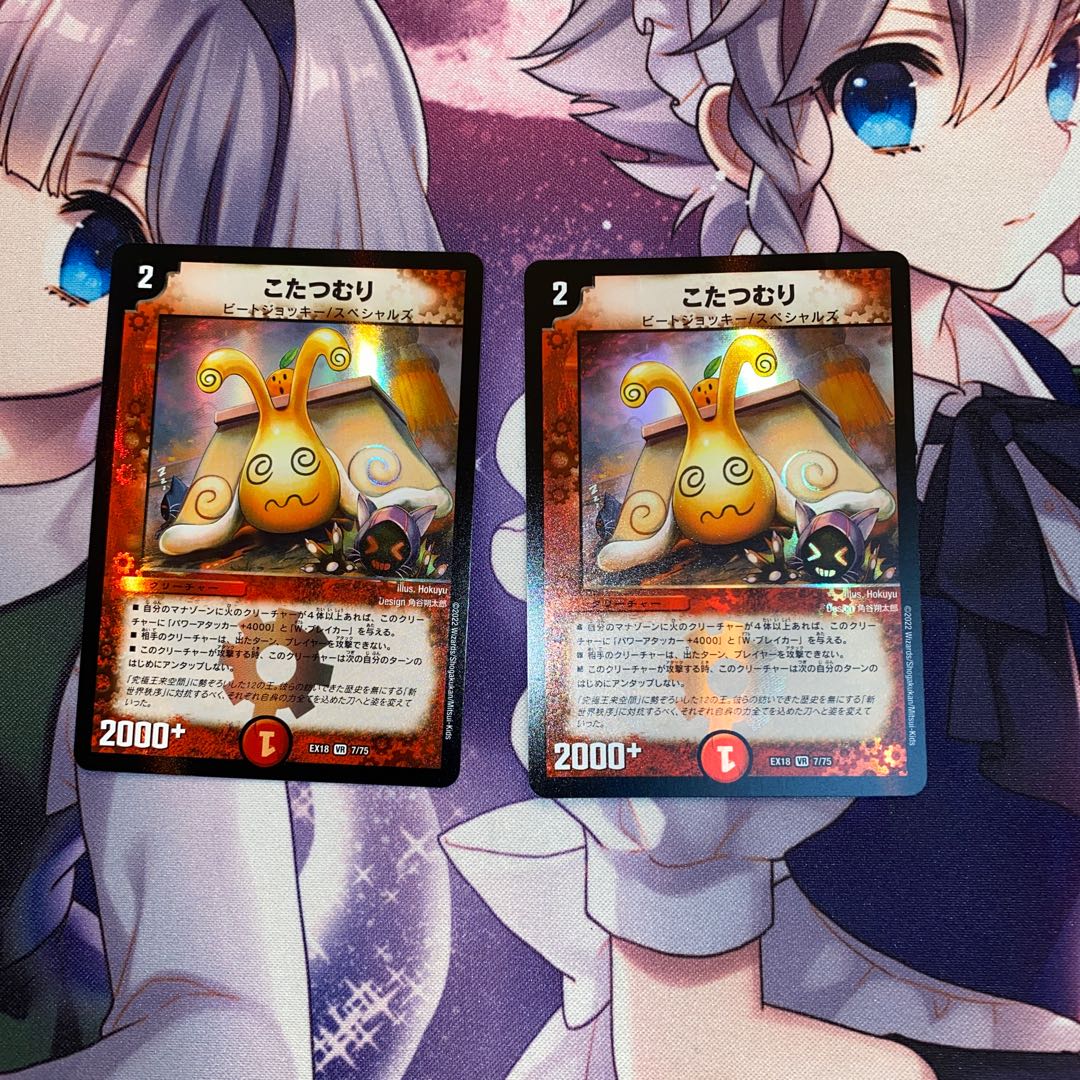 someone who curls up under a kotatsu all winter