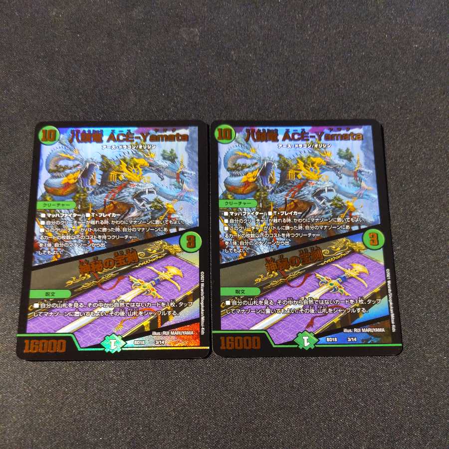 Eight-headed Dragon ACE-Yamata/Mysterious Treasure Sword