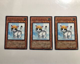 EE3-JP153 Rescue Cat 3 copies