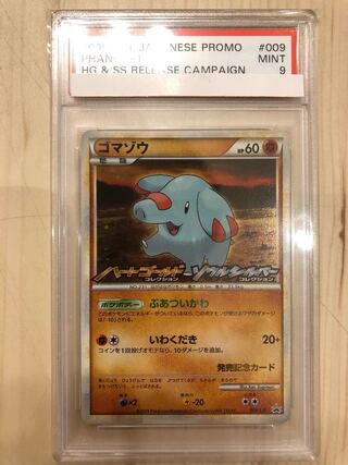 PSA9] Pokemon Card Phanpy Promo