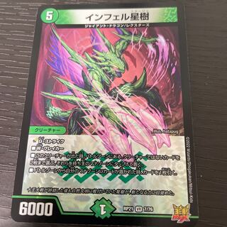 Infelix star tree (species of sedge, Infelix infertilis)