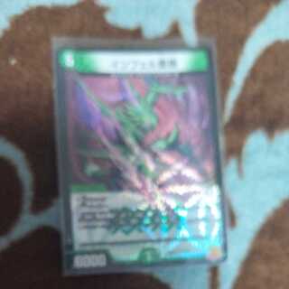 Infelix star tree (species of sedge, Infelix infertilis)