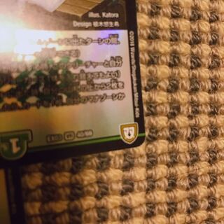 グレープダール2枚セット