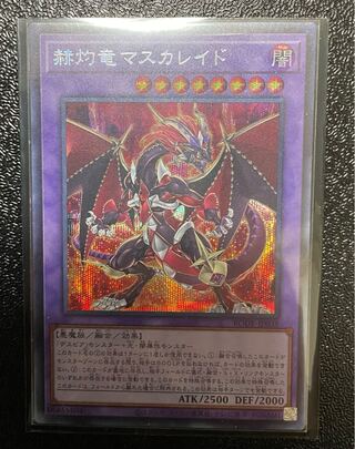 Masquerade the Blazing Dragon Secret