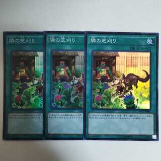 遊戯王 隣の芝刈り スーパーレア