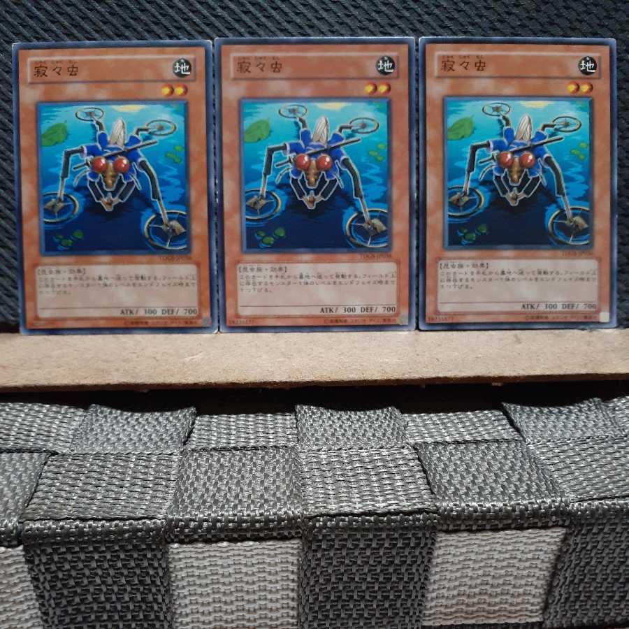 Popotan] Yu-Gi-Oh 9270 Silent Strider Normal Three Cards