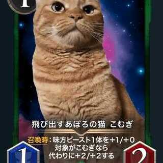 飛び出すあぽろの猫 こむぎ x2枚セット