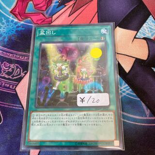 Set Rotation Normal 1 piece Special Price