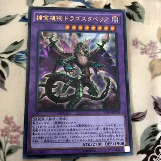 Predaplant Dragostapelia Ultra Rare