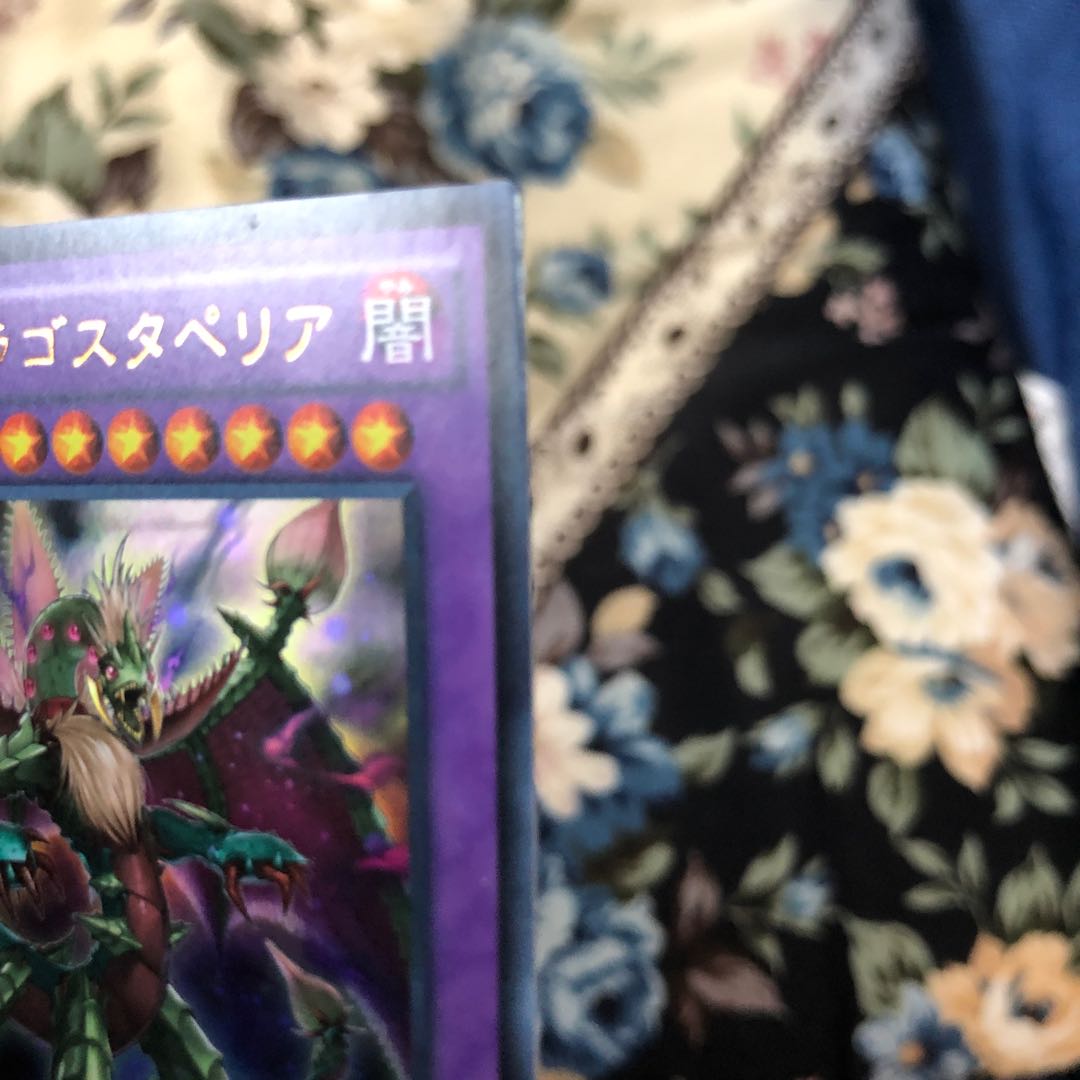 Predaplant Dragostapelia Ultra Rare