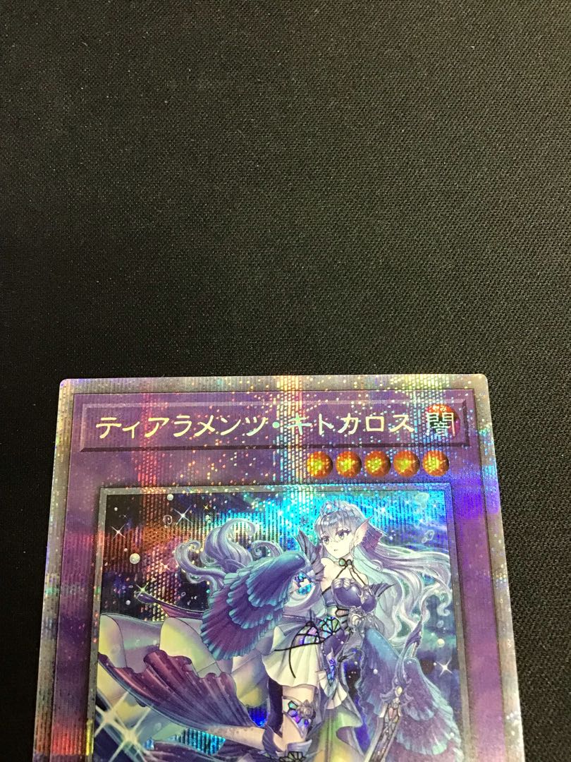 Tiaramentskitokalos Plissik