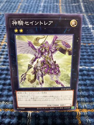 Sky Cavalry Centaurea] Normal