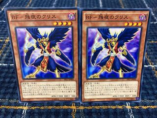 BF-Squirrel of the Remaining Night] Normal 2-card set