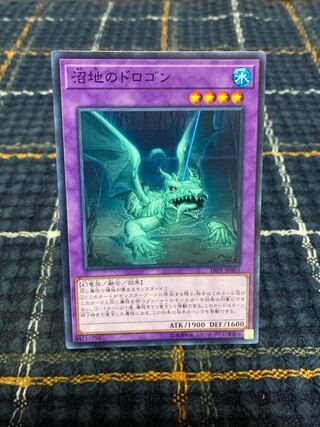 Mudragon of the Swamp] Normal