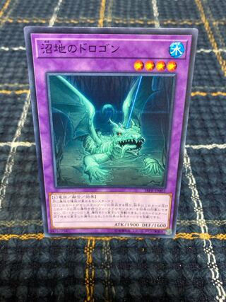 Mudragon of the Swamp] Normal