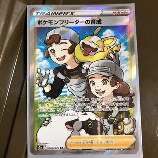 Raising Pokemon Breeder SR