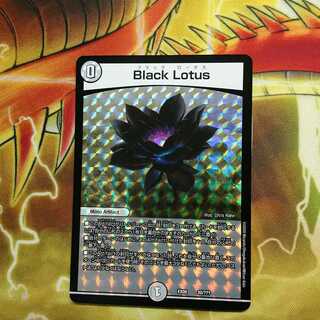 Black Lotus ブラックロータス