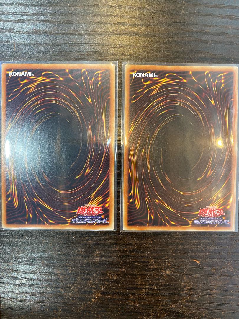 Dinolfia Terrigia SR 2 copies