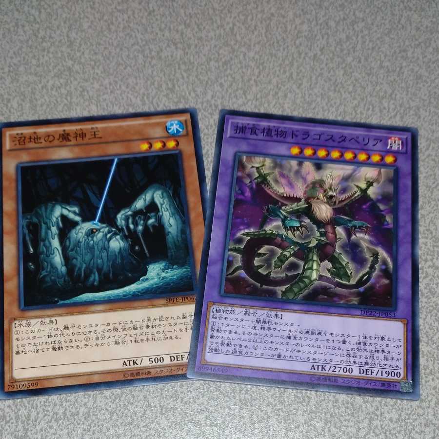 Predaplant Dragostapelia Normal