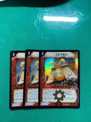 someone who curls up under a kotatsu all winter