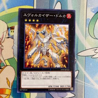 Evolzar Dolkka Normal