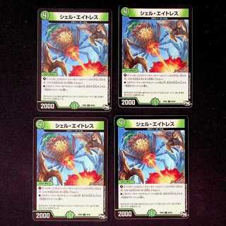 DM Shell Aitres Common, set of 4 (1)