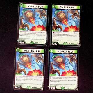 DM Shell Aitless Common, set of 4 (2)