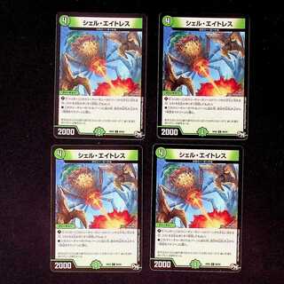 DM Shell Aitres Common, set of 4 (iii)