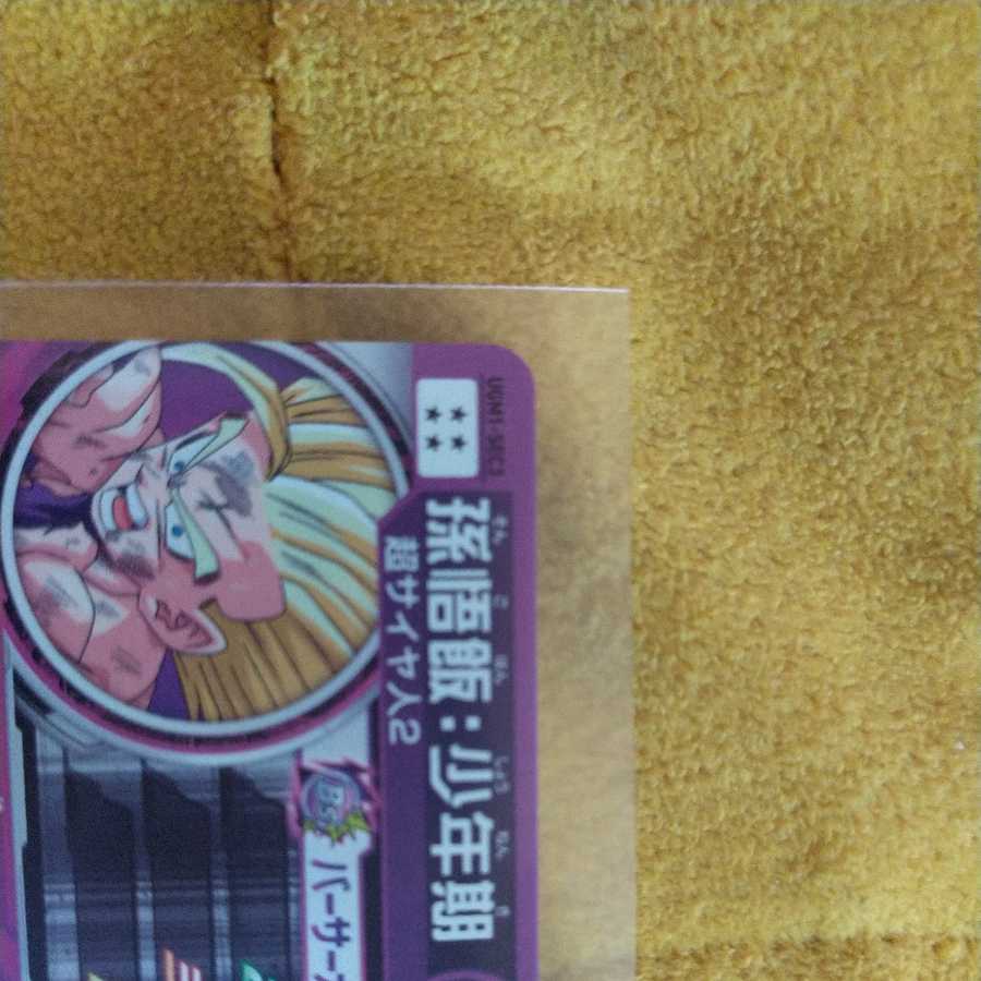 Zeno (Formerly known as Rags!) Sun Gohan