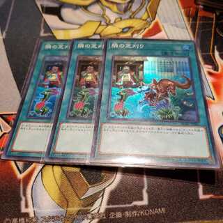 【願い事】隣の芝刈り 3枚