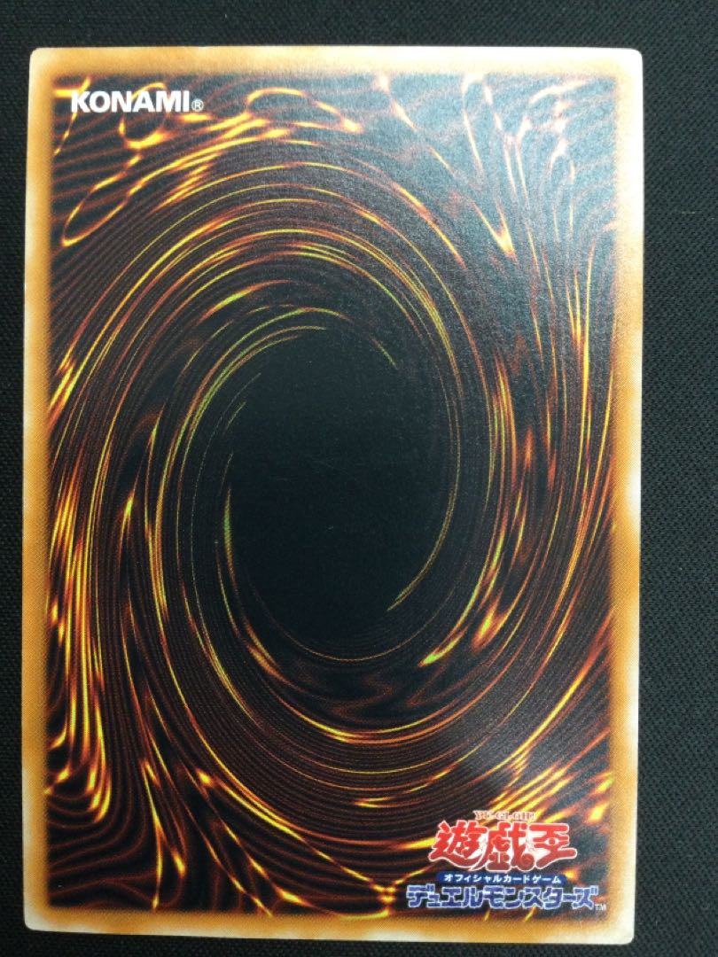 Black Skull Dragon (Updated from: B. Skull Dragon) relief [06768-37].