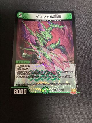 Infelix star tree (species of sedge, Infelix infertilis)