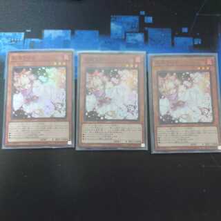 Ash Blossom & Joyous Spring Super Rare 3-card set