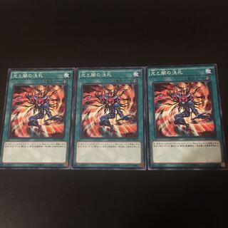 Dedication through Light and Darkness 3 copies