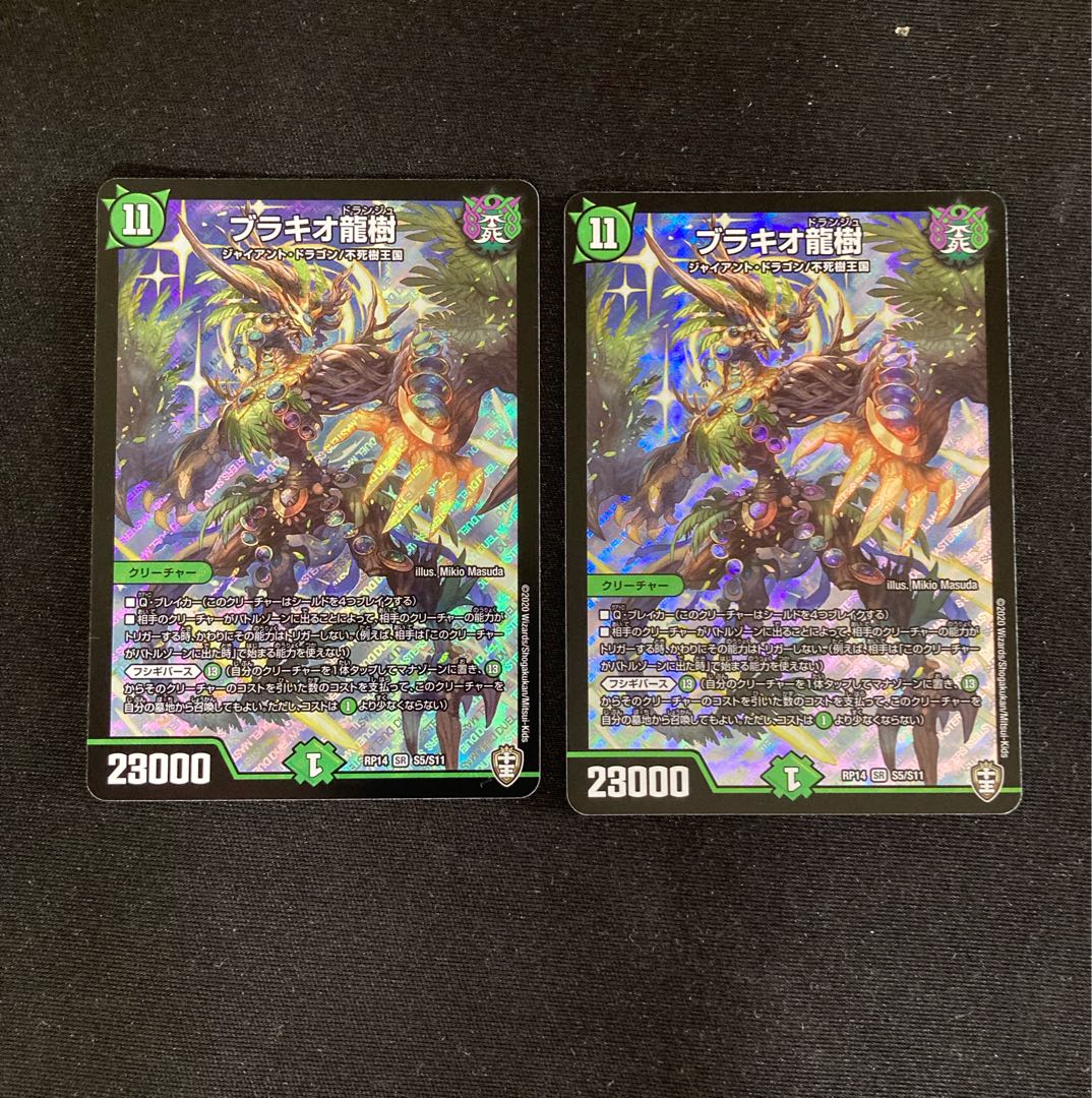 Brachio Ryuju 2 sheets