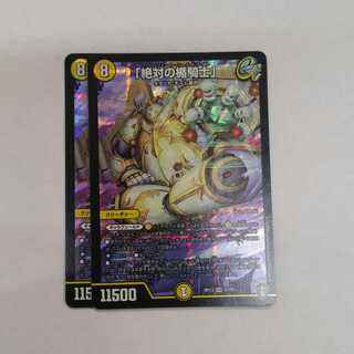 Knight of the Shield of the Absolute."